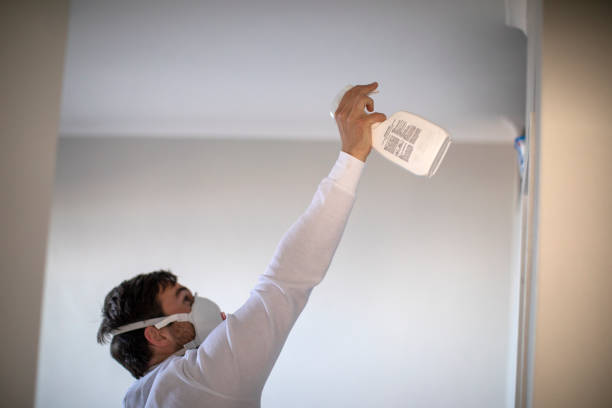Best Residential Mold Removal  in Burlington, KY