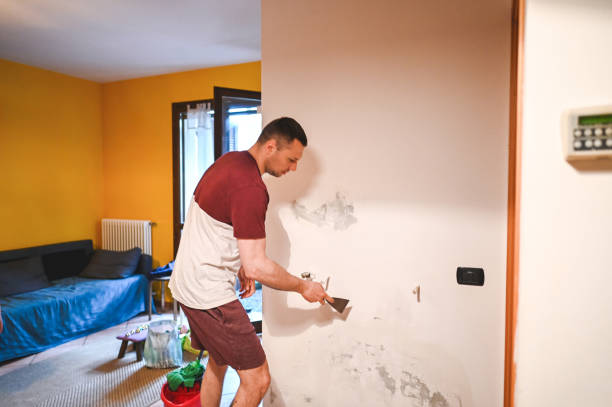 Best Professional Mold Removal  in Burlington, KY